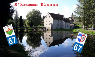 Présentation dégommage 2025-03-30